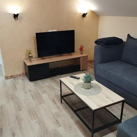 公寓 Belgrade City Home 贝尔格莱德