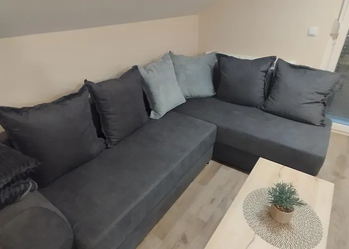 公寓 Belgrade City Home 贝尔格莱德