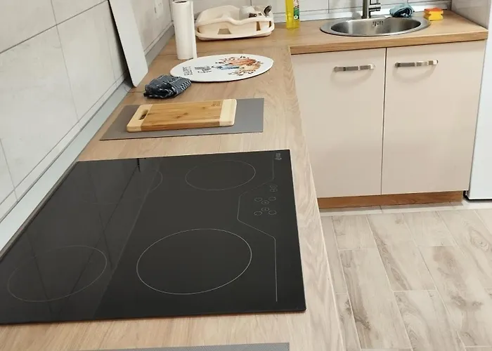 Belgrade City Home *